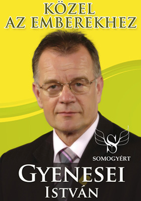 Gyenesei István Választás 2010